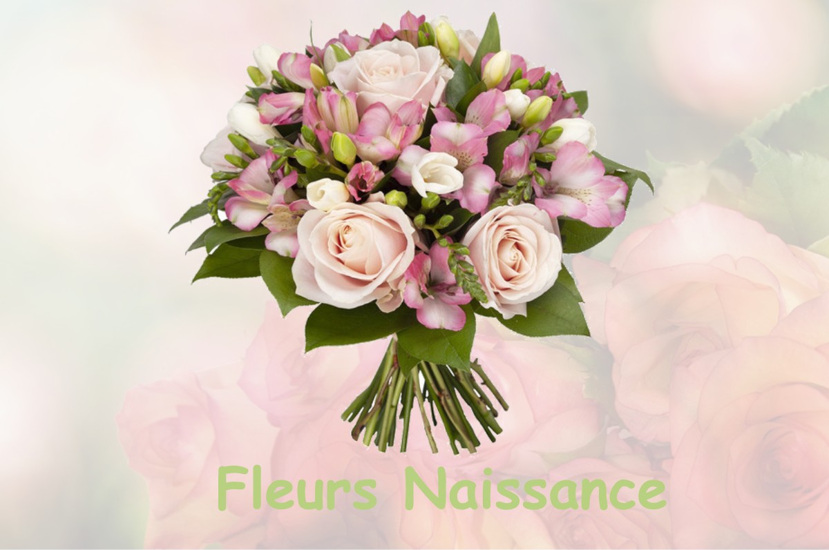 fleurs naissance ARENGOSSE